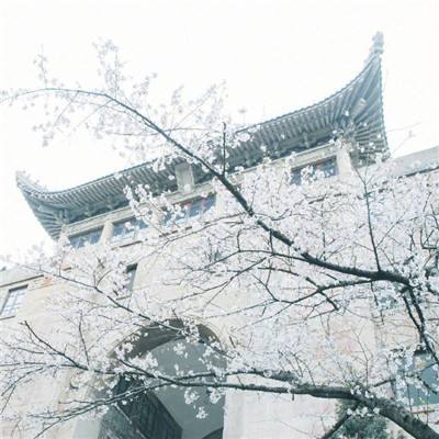 杭州优化调整房地产市场调控措施